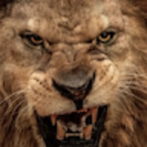 Meet your Posher, Kenneth